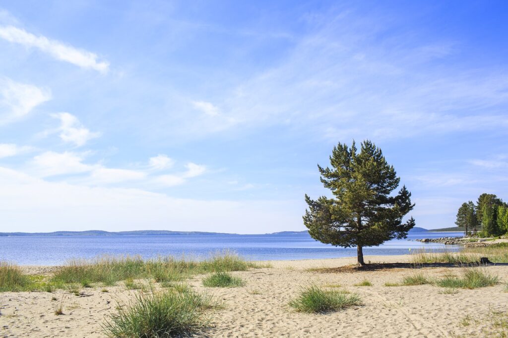 8 Places To See In Skåne Sweden Österlen